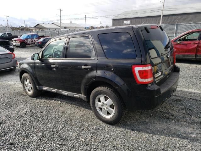 2011 Ford Escape XLT