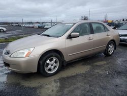 Salvage cars for sale at Eugene, OR auction: 2004 Honda Accord LX