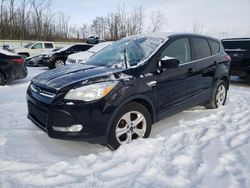 Salvage cars for sale from Copart Leroy, NY: 2016 Ford Escape SE