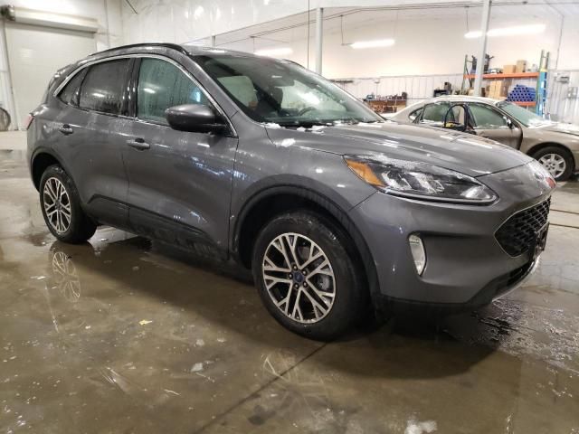 2021 Ford Escape SEL