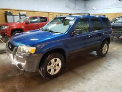 Salvage cars for sale at Kincheloe, MI auction: 2007 Ford Escape XLT