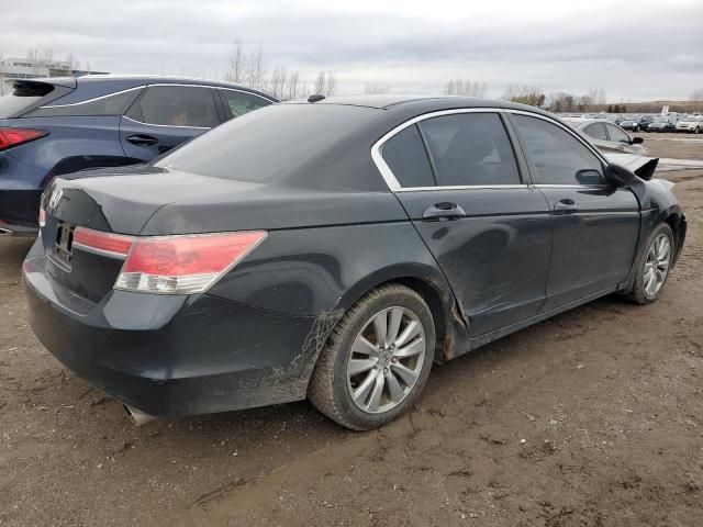 2011 Honda Accord EXL