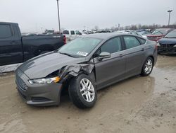 Salvage cars for sale at Indianapolis, IN auction: 2013 Ford Fusion SE