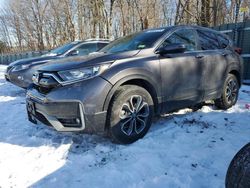 Salvage cars for sale at Candia, NH auction: 2020 Honda CR-V EX