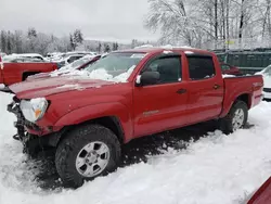 Salvage cars for sale from Copart Candia, NH: 2015 Toyota Tacoma Double Cab