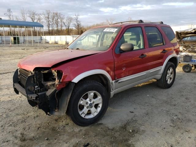 2007 Ford Escape XLT