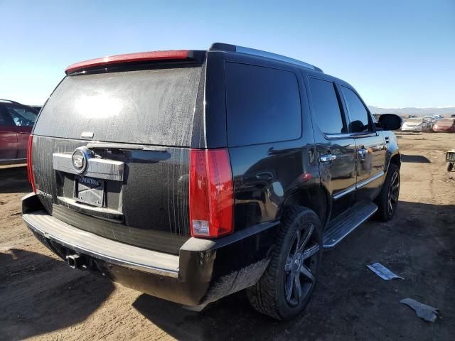 2007 Cadillac Escalade Luxury