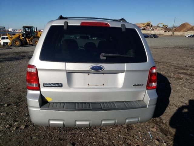 2008 Ford Escape XLT