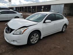 Salvage cars for sale at auction: 2010 Nissan Altima Base