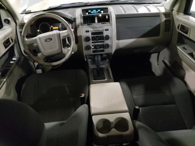 2009 Ford Escape XLT