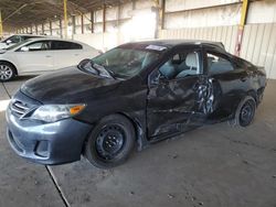 Salvage cars for sale at Phoenix, AZ auction: 2013 Toyota Corolla Base