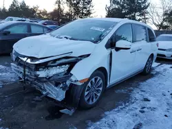 Salvage cars for sale at Denver, CO auction: 2022 Honda Odyssey EXL