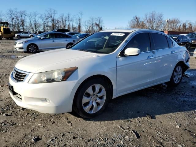 2010 Honda Accord EXL