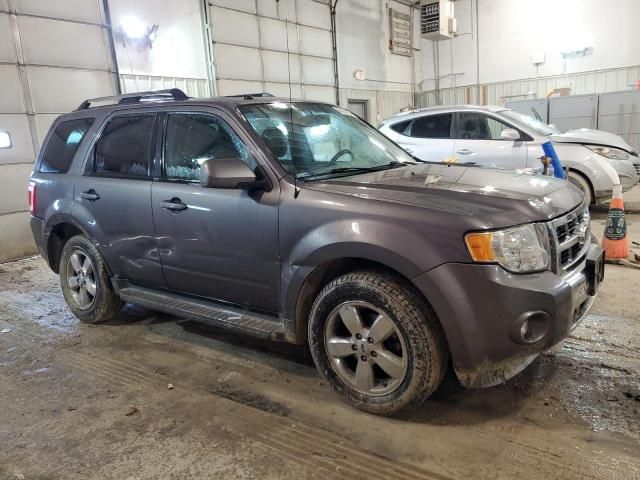 2010 Ford Escape Limited