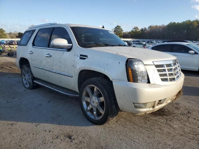 2007 Cadillac Escalade Luxury