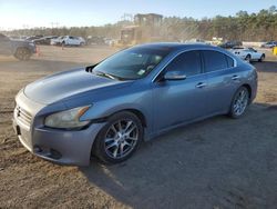 Nissan Maxima S Vehiculos salvage en venta: 2011 Nissan Maxima S