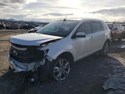 Ford Edge salvage cars for sale: 2011 Ford Edge Limited