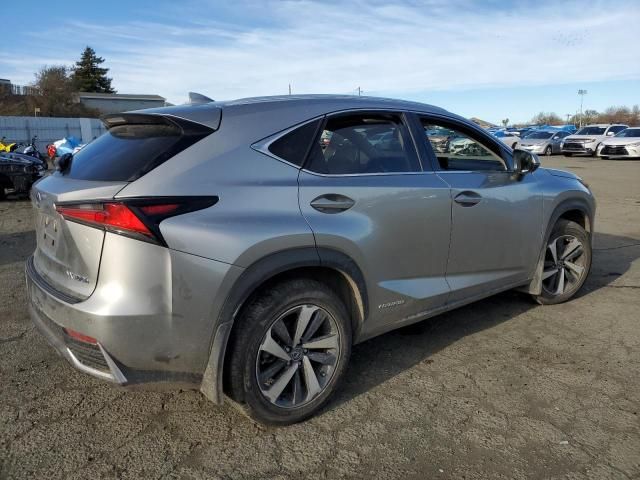 2020 Lexus NX 300H