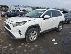 Toyota Rav4 XLE Vehiculos salvage en venta: 2019 Toyota Rav4 XLE