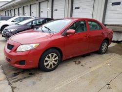 Salvage cars for sale at Louisville, KY auction: 2009 Toyota Corolla Base