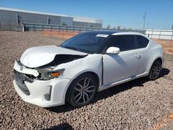 Salvage cars for sale from Copart Phoenix, AZ: 2014 Scion TC