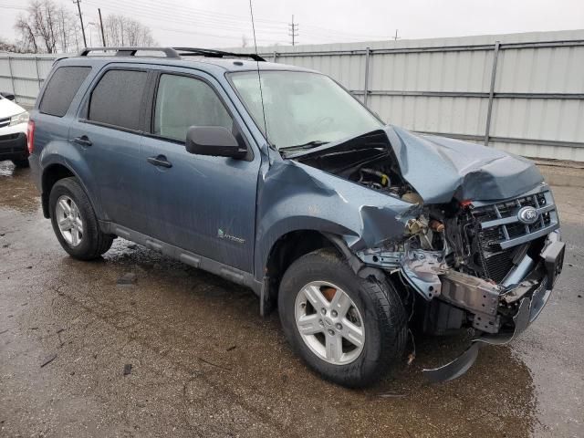 2011 Ford Escape Hybrid