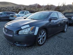 Salvage cars for sale at Reno, NV auction: 2010 Nissan Maxima S