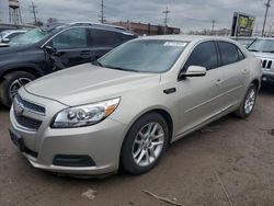 Salvage cars for sale from Copart Chicago Heights, IL: 2013 Chevrolet Malibu 1LT