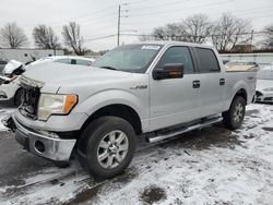 Salvage cars for sale at Moraine, OH auction: 2013 Ford F150 Supercrew