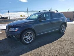 2016 Audi Q5 Premium en venta en Albuquerque, NM