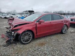 Salvage cars for sale at Louisville, KY auction: 2013 Ford Fusion SE