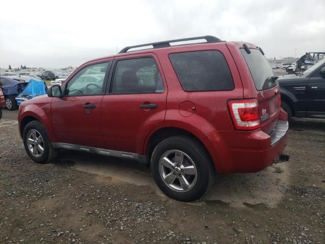 2009 Ford Escape XLT