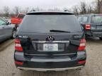 2009 Mercedes-Benz ML