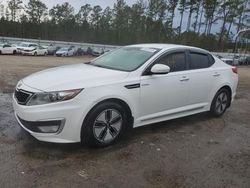 Salvage cars for sale at Harleyville, SC auction: 2013 KIA Optima Hybrid