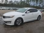 2013 KIA Optima Hybrid