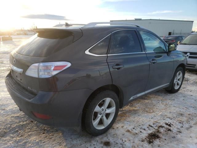 2010 Lexus RX 450