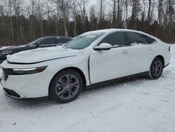 Honda Accord salvage cars for sale: 2023 Honda Accord EX