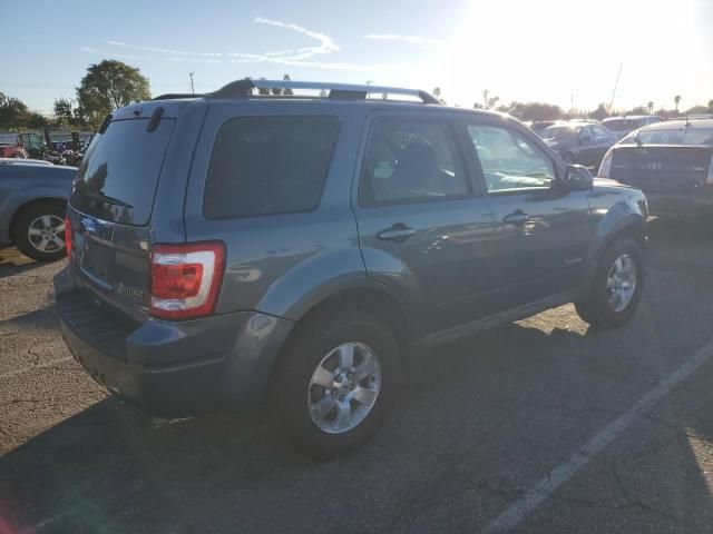 2010 Ford Escape Hybrid