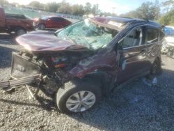 Salvage cars for sale at Riverview, FL auction: 2013 Honda CR-V EXL