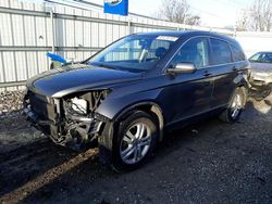 Salvage cars for sale at Walton, KY auction: 2011 Honda CR-V EXL