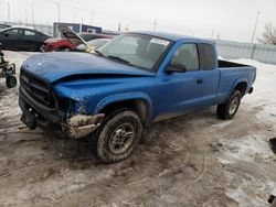 Salvage cars for sale at Greenwood, NE auction: 2000 Dodge Dakota
