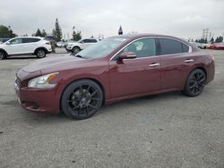 Salvage cars for sale at Rancho Cucamonga, CA auction: 2011 Nissan Maxima S