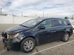 Honda Odyssey salvage cars for sale: 2016 Honda Odyssey SE