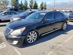 Hyundai salvage cars for sale: 2012 Hyundai Equus Signature