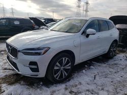 Salvage cars for sale from Copart Elgin, IL: 2022 Volvo XC60 T8 Recharge Inscription