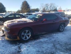 Dodge Vehiculos salvage en venta: 2019 Dodge Challenger SXT