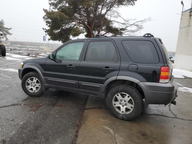 2005 Ford Escape XLT