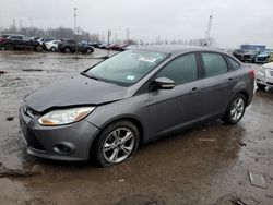 Ford Focus SE Vehiculos salvage en venta: 2014 Ford Focus SE