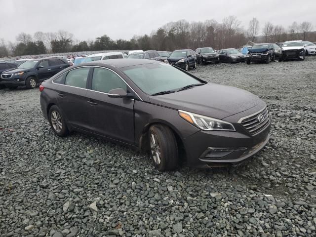 2015 Hyundai Sonata ECO