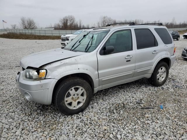 2007 Ford Escape Limited